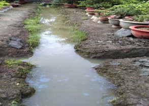 Hình 2 2 Rảnh trong vườn kiểng Nếu trong thời tiết mưa lớn nước nhiều quá 2