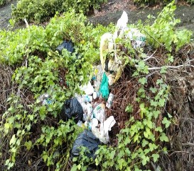 Hình 2 3 Bao bì chai nhựa thuốc BVTV Hình 2 4 Thu gom vỏ thuốc bao bì thuốc BVTV 4