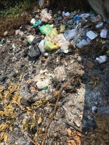 Hình 2 4 Thu gom vỏ thuốc bao bì thuốc BVTV Hình 2 5 Đốt chung vỏ bao bì thuốc 5