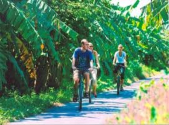 Tour chạy xe đạp trên đường làng An Bình Chùa Tiên Châu An Bình Long Hồ Vĩnh 3