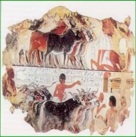 Hoạt động kinh tế của cư dân cổ đại phương Đông 8