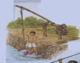 Nhiệm vụ học tập Dựa vào thông tin hỗ trợ em hãy 1 Mô tả các hoạt 1