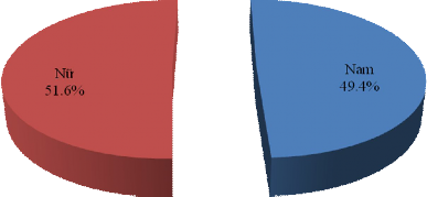 Hình 2 4 Phân bổ đối tượng khảo sát theo giới tính Như vậy có tổng cộng 2