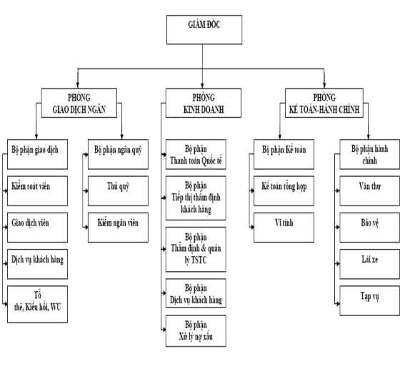Hình 6 Sơ đồ cơ cấu tổ chức 3 2 2 2 Chức năng nhiệm vụ của các phòng ban a 1
