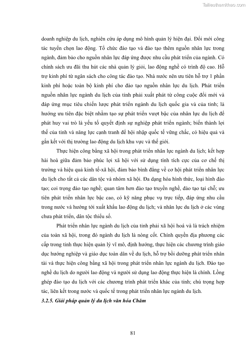 Luận văn thạc sĩ du lịch Nghiên cứu phát triển du lịch văn hóa Chăm ở Khánh Hòa - 8 Trang 91
