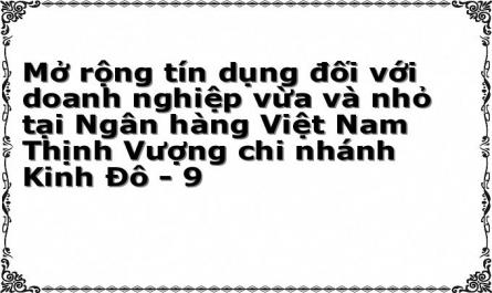 Cơ Cấu Dư Nợ Tín Dụng Đối Với Dnv&n Tại Vpbank Chi Nhánh Kinh Đô