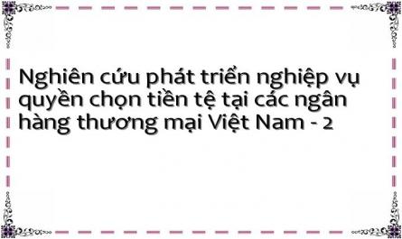 Nghiên cứu phát triển nghiệp vụ quyền chọn tiền tệ tại các ngân hàng thương mại Việt Nam - 2