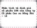 Phân tích và định giá cổ phiếu DPR của Công ty Cổ phần Cao su Đồng Phú - 14