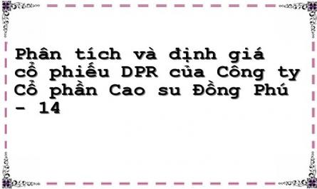 Phân tích và định giá cổ phiếu DPR của Công ty Cổ phần Cao su Đồng Phú - 14