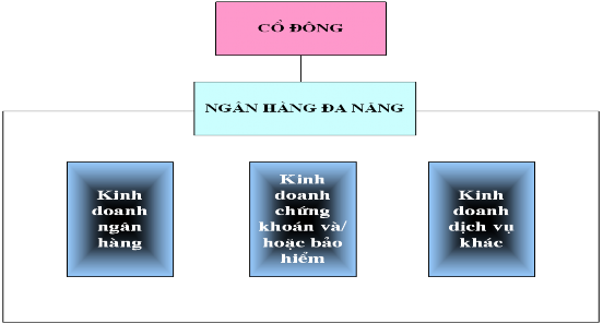 Sơ đồ 1 1 Mô hình tổ chức của tập đoàn Ngân hàng đa năng Nguồn Ngân 1