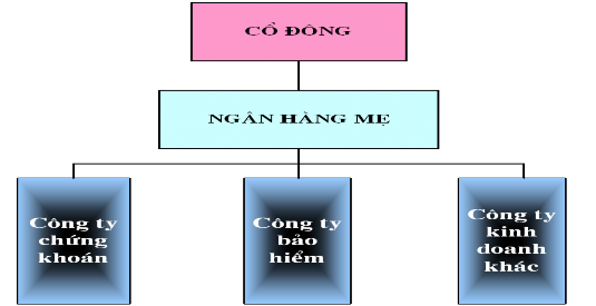 Sơ đồ 1 2 Mô hình TĐTC NH đa năng kiểu Công ty mẹ con Nguồn Ngân hàng Nhà 2