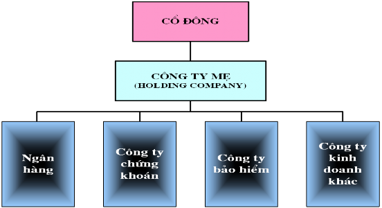 Sơ đồ 1 3 Mô hình TĐTC NH đa năng kiểu Holding Company Nguồn Ngân hàng Nhà 3
