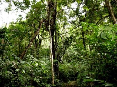 Vườn quốc gia Ba Bể Bắc Kạn Lán Tỉn Keo ATK Định Hóa – Thái Nguyên Khu du 8