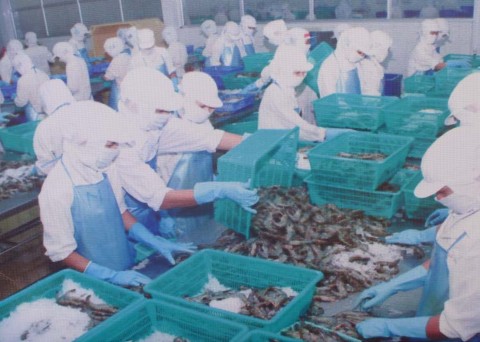 Hình 2 18 Sản phẩm của làng nghề sơ chế biến thủy sản Xóm Đáy 16