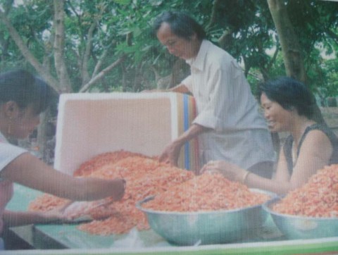 Hình 2 20 Sản phẩm của làng nghề sơ chế biến thủy sản Xóm Đáy 2