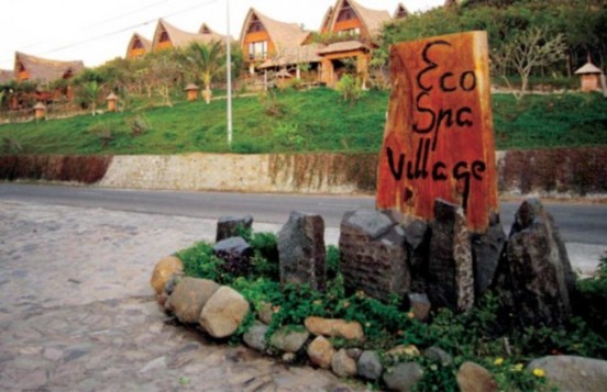 HST dứa dại bên bờ biển Thuận Quý 3