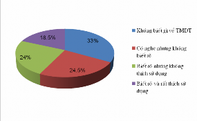 100 những người trên 50 tuổi không biết sử dụng thương mại điện tử Xếp 19