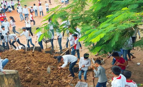 Hình 13 Xây dựng công trình măng non hưởng ứng phong trào xây dựng trường 7