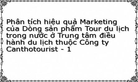 Phân tích hiệu quả Marketing của Dòng sản phẩm Tour du lịch trong nước ở Trung tâm điều hành du lịch thuộc Công ty Canthotourist - 1