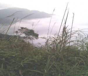 TÀI LIỆU THAM KHẢO Tài liệu Tiếng Việt 1 Lê Huy Bá 2005 Du lịch sinh 2