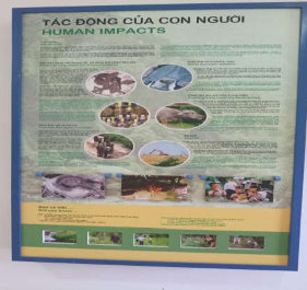 TÀI LIỆU THAM KHẢO Tài liệu Tiếng Việt 1 Lê Huy Bá 2005 Du lịch sinh 3