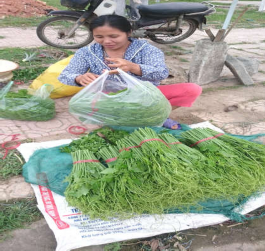 TÀI LIỆU THAM KHẢO Tài liệu Tiếng Việt 1 Lê Huy Bá 2005 Du lịch sinh 5