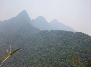 Hình 4 6 Chinh phục 3 đỉnh Tam Đảo Hà 2017 4 Tuyến VQG Tam Đảo Trung Tâm 5