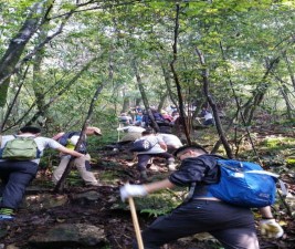 Hình 4 6 Chinh phục 3 đỉnh Tam Đảo Hà 2017 4 Tuyến VQG Tam Đảo Trung Tâm 6