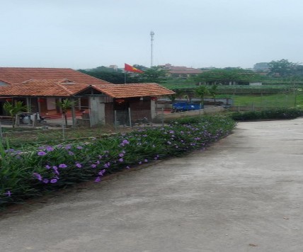 Ảnh 19 Homestay Quê hương Ảnh 20 21 Hệ thống xe điện phục vụ khách du 11