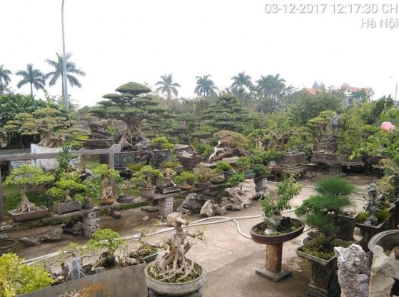 Ảnh 25 Một số sản phẩm tại làng sinh vật cảnh Cơ Giáo Ảnh 26 Hướng dẫn 15