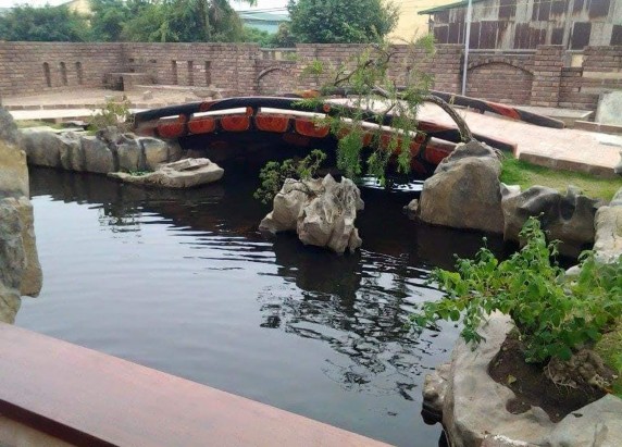 Ảnh 14 Khuôn viên nhà vườn Nguyễn Văn Chí Ảnh 15 Mô hình HTX hoa cây cảnh và 6