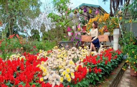 Ảnh 15 Mô hình HTX hoa cây cảnh và dịch vụ Hồng Vân Ảnh 16 Mô hình Nông 7