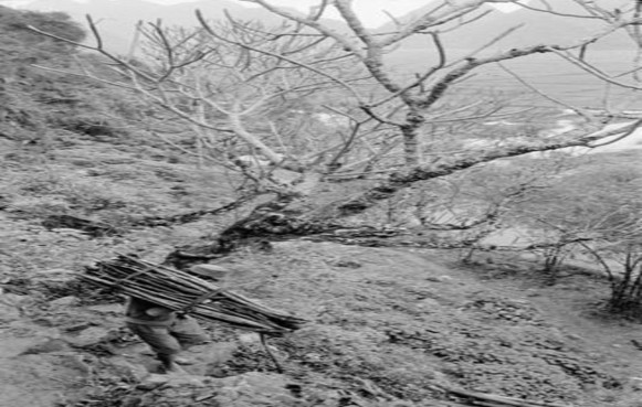 Nguồn NAG John Vink tổ chức nhiếp ảnh quốc tế Magnum Photos 6 Cư dân Hương 1