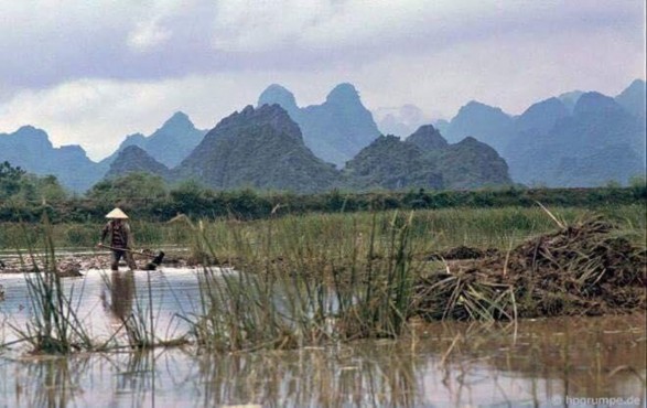 Nguồn Ban Quản lý di tích xã Hương Sơn cung cấp 2017 9 Trước năm 1990 cư 3