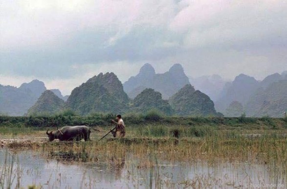 Nguồn Ban Quản lý xã Hương Sơn cung cấp 2017 10 Cư dân xã Hương Sơn làm 4