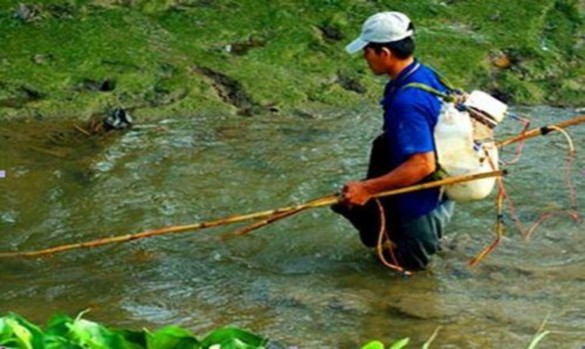 Nguồn Ban Quản lý di tích Hương Sơn cung cấp 12 2017 34 NCS cùng kiểm lâm thu 14