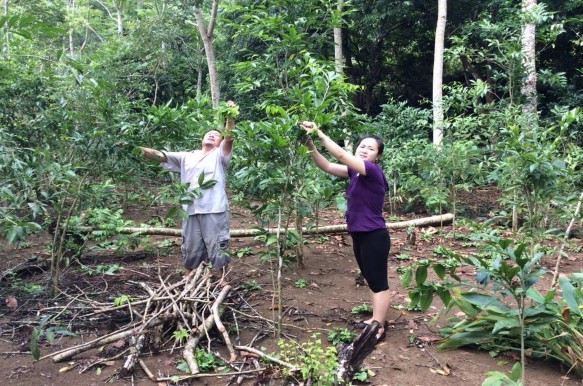 Nguồn NCS thực địa 15 9 2014 35 Cư dân dẫn điện để đánh cá Nguồn Ban 15