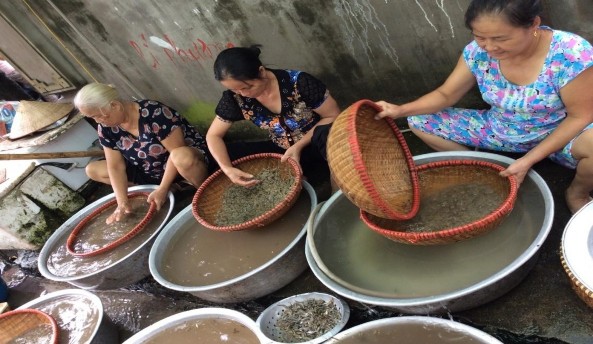 Nguồn NCS chụp 1 9 2016 23 Rượu mơ Hương Sơn trong bối cảnh du lịch phát 3