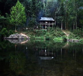 Ảnh 2 1 Rừng nguyên sinh Khe Rỗ Ảnh 2 2 Rừng nguyên sinh Khe Rỗ Ảnh 2 3 1