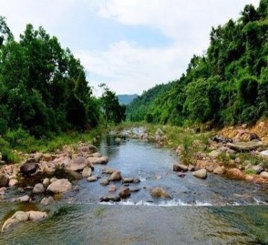 Ảnh 2 1 Rừng nguyên sinh Khe Rỗ Ảnh 2 2 Rừng nguyên sinh Khe Rỗ Ảnh 2 3 2