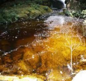 Ảnh 2 3 Thắng cảnh suối nước vàng thuộc xã Lục Sơn huyện Lục Nam Ảnh 4