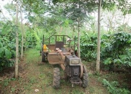 Hình ảnh cây cà phê sản vật nông nghiệp sinh thái nổi tiếng của Đăk Lăk 19