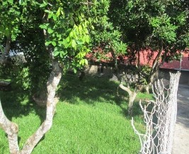 Trang động vật hoang dã Kiên Cường – Đăk Lăk và mô hình chăn nuôi Chồn phục 27