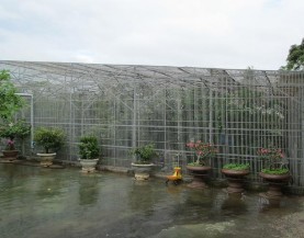 Trang động vật hoang dã Kiên Cường – Đăk Lăk và mô hình chăn nuôi Chồn phục 28