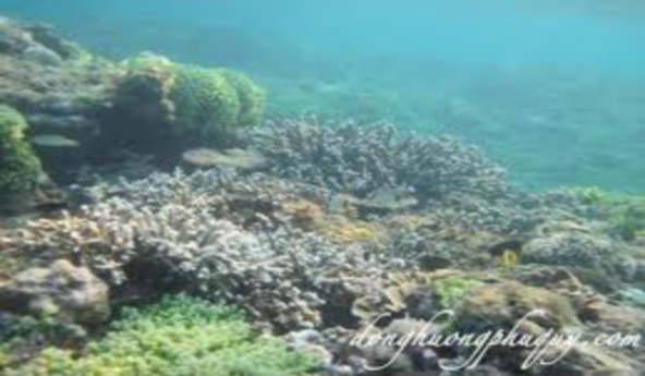 HÌNH 2 KHU BẢO TỒN ĐẢO PHÚ QUÝ HÌNH 3 ĐỒI CÁT BAY MŨI NÉ HÌNH 4 BÃI BIỂN 2