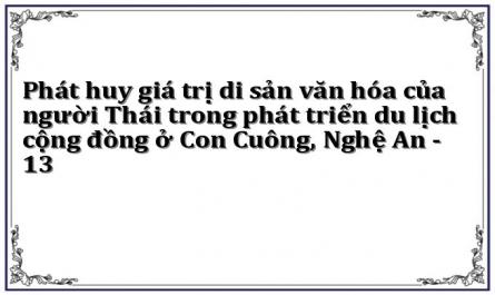 Phát huy giá trị di sản văn hóa của người Thái trong phát triển du lịch cộng đồng ở Con Cuông, Nghệ An - 13