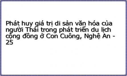 Phát huy giá trị di sản văn hóa của người Thái trong phát triển du lịch cộng đồng ở Con Cuông, Nghệ An - 25