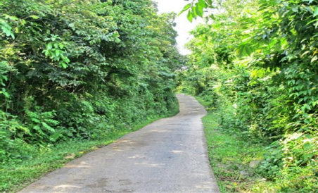 Hình 2 3 Đường liên thôn của xã Bằng Cả 2 3 1 2 Thông tin liên lạc là một 1