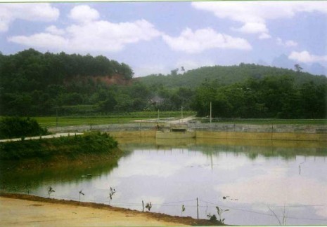 Công trình thủy lợi xã An Phú Tác giả Cánh đồng cao sản ở Xã An Mỹ Chợ 8