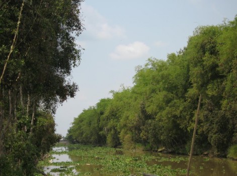 Hình 2 2 Kênh Vành Đai Gò Tháp đường thủy vào Đồng Sen Ngày chụp ngày 7 3